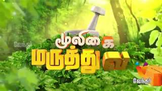 விரைவில் விந்து வெளியாவதை தடுக்க வேண்டுமா Mooligai Maruthuvam Epi  242 Part 3 [upl. by Dylane]