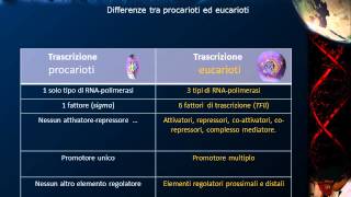 Lezione 20  RNA polimerasi [upl. by Strickland]