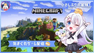 【minecraft 】SEC鯖にみっちゃんご一行がお邪魔！！みんなのために周辺整理 [upl. by Acinoryt400]