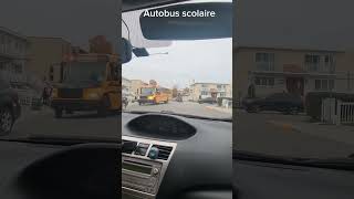 AUTOBUS SCOLAIRE JE FAIS QUOI [upl. by Katherine]