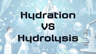 Hydration and Hydrolysis [upl. by Edge674]