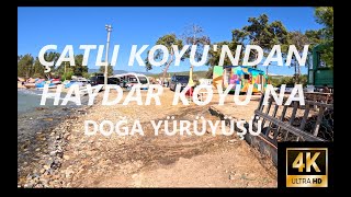 Çatlı Koyundan Haydar Koyuna Doğa Yürüyüşü  Nature Walking in Turkey [upl. by Ahsiatal]