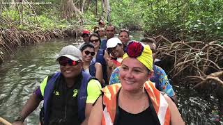 Tour Cienaga la Caimanera Coveñas Golfo de Morrosquillo Caribe de Colombia [upl. by Annamarie]