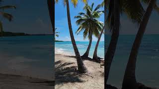 🇩🇴 Isla Saona Dominican Rep 🌴 bachata saona beach travel vacation [upl. by Sherrill]