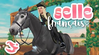 Buying ALL of the Selle Français Horses  Star Stable [upl. by Dara34]