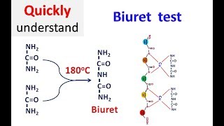 Biuret test [upl. by Sheffie]