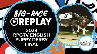 2023 RPGTV English Puppy Derby  King Memphis  Greyhound Replays  2023 Big Finals [upl. by Erreid]