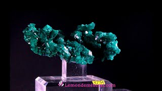 Très belle dioptase origine R D du Congo ancienne collection78mm x 35mm x H  42mm x 90g [upl. by Einnos]