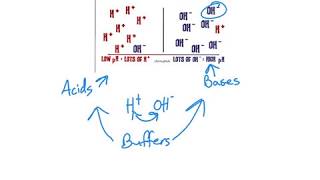 Acid Base Intro [upl. by Naerad447]