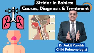 Stridor in Babies Causes Diagnosis amp Treatment I Dr Ankit Parakh Child Pulmonologist [upl. by Torre293]