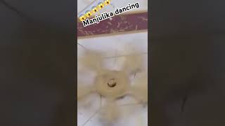 Manjulika Dancing video madurai Dixit and Vidya Balan bollywood [upl. by Eatnom]