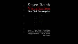 Steve Reich quotNew York Counterpointquot Visualization Shorts [upl. by Neill]