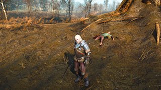 Some players havent seen this even after 3000 hours of play  The Witcher 3 [upl. by Fleeta]