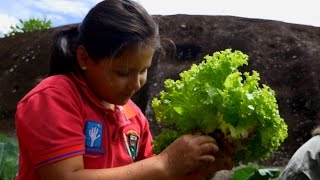 Beneficios de las Huertas Escolares  TvAgro por Juan Gonzalo Angel [upl. by Yentroc]