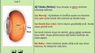 GÖRME ORGANIMIZ GÖZ FEN VE TEKNOLOJİ 7 SINIF KONU ANLATIMI [upl. by Ylrad]