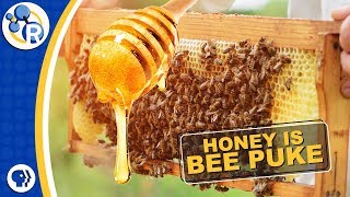 How Do Bees Make Honey [upl. by Romeyn275]