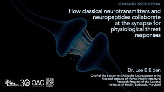 How classical neurotransmitters and neuropeptides collaborate at the synapse [upl. by The]