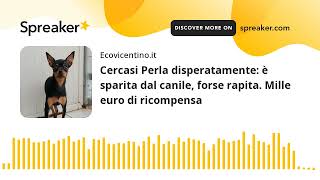 Cercasi Perla disperatamente è sparita dal canile forse rapita Mille euro di ricompensa [upl. by Ahsaz]