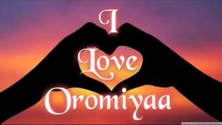 OROMIA TIYYAA HACALUU [upl. by Odlabu]