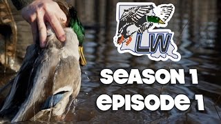 Duck Hunting Catahoula Lake Louisiana Wetlands S1E1 [upl. by Declan]