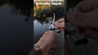 Trying to catch a bass on worlds smallest fishing pole [upl. by Ettezil108]