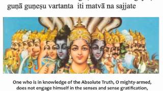 Bhagavad Gita Chapter 3  Verse 28 [upl. by Enelehs]