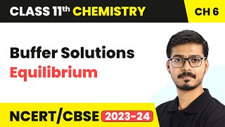 Buffer Solutions  Equilibrium  Class 11 Chemistry Chapter 6  CBSE [upl. by Alisander]