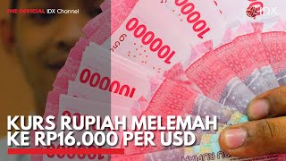 Kurs Rupiah Melemah ke Rp16000 per USD  IDX CHANNEL [upl. by Odnuges]