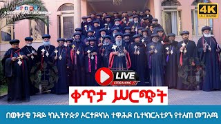 EOTC TV LIVE ከኢኦተቤክ በትግራይ በተደረገው ሕገ ወጥ የኤጲስ ቆጶሳት ሢመት የተሰጠ መግለጫ ሐምሌ 17 ቀን 2015 ዓም [upl. by Aitnahc900]