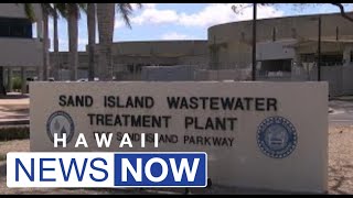 Samples from Sand Island wastewater discharge shows elevated levels of bacteria [upl. by Akiam876]