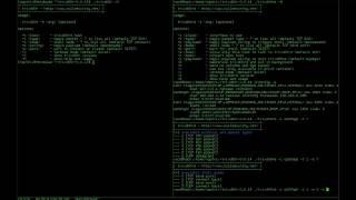 trixd00r 001  Advanced and invisible TCPIP based userland backdoor [upl. by Ainahs]