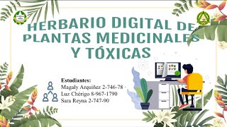 HERBARIO DIGITAL DE PLANTAS MEDICINALES [upl. by Dulla334]