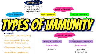 Types of Immunity Chapter 35 part 1 Guyton and Hall Physiology [upl. by Nafets300]