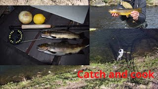 MN Trout Opener 2020 Wild Trout  Catch clean and cook MN Opener series pt 1 [upl. by Naened]