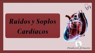 Ruidos y Soplos Cardíacos 🩺 🔊  Semiología CardÍaca [upl. by Schach]