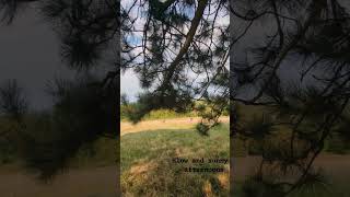 Hampstead Heath london nature slow travel bollywood [upl. by Airod]