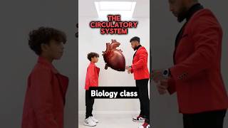 GCSE Biology  Circulatory System [upl. by Irmo]