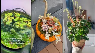 Plantsterrarium🪴🌿aesthetic tiktok compilation 2 [upl. by Aleinad]