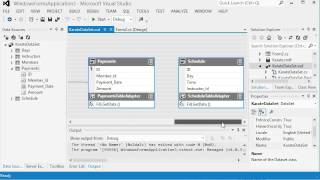 Database DataSet and Details View in Visual Studio [upl. by Garber]