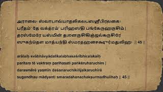 செல்வத்தின் தேவியின் ஆசி  சௌந்தர்ய லஹரி ஸ்லோகம் 45  Soundarya Lahari Shloka 45 Tamizh [upl. by Siloam]