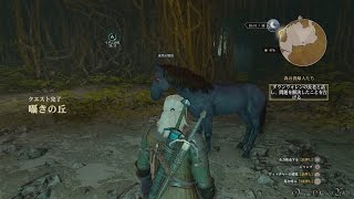 【PS4】The Witcher 3 Wild Hunt  Part 47B ・ 森の貴婦人たち③＆囁きの丘（木の心臓の解放 ver） [upl. by Akemor]