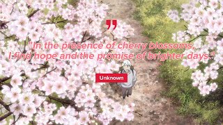 A mysterious cherry blossom in Aarhus Denmark Mushishi film Hope [upl. by Stilla]