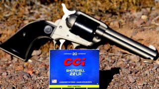 CCI 22 LR Shotshell Shooting Review  Are They Effective Will They Cycle A Semiauto Firearm [upl. by Nref408]