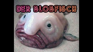 Der Blobfisch [upl. by Capriola]