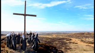 Sisters Vocation Video Disciples of the Lord Jesus Christ  Franciscan Sisters [upl. by Hniv64]