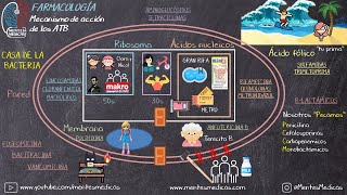 Antibióticos Mecanismo de Acción SÚPER FÁCIL MNEMOTECNIA  Mentes Médicas [upl. by Inhsor]