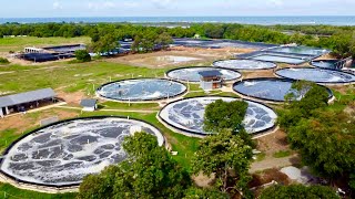 The First the Biggest Super Intensive Shrimp Farm 320 Million Kita per Year [upl. by Eldwon]