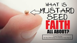 What Is The Meaning Of Mustard Seed Faith [upl. by Ximenes571]