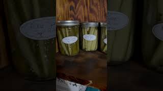 Pickles homestead canning food foodpreservation canninglife cucumber beans pickles [upl. by Nike]