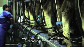 Milpro P4C Milkline in einem ParallelMelkstand installiert mit 2 Reihen [upl. by Scott]